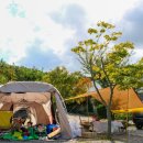 우리꽃캠핑장 이미지