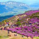 보물찾기 이미지