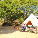 캠프오후4시 이미지