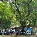산장민박 이미지