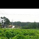 김기선농장 이미지