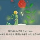 인셀덤영광