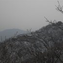 감나무식당 이미지