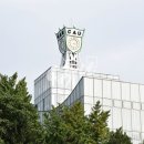 중앙대학교 보안대학원 매일경제