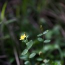 두메향민박 이미지