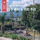 짜릿한 제주도놀거리! 스릴 넘치는 루지&amp;카트 액티비티 in 제주🍊