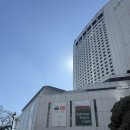 1988 피트니스 | [내돈내산 잠실 호캉스] 롯데호텔 월드 | 클럽라운지 포함 디럭스 트윈룸 후기 (수영장, 헬스장, 조식)