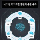 느린학습자를 위한 통하는 학교생활(1) | 아이의 변화, 성인의 회복: ‘뇌 기반 자기조절 훈련’ 임상 사례로 본 실제 효과