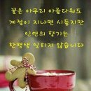 ♤홀로가는_내_삶의길♧ 이미지