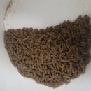 펄스온 생명공학 이미지