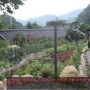 단양집민박 이미지