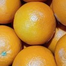 싱싱빅마켓 이미지