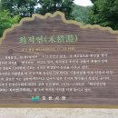 빨간지붕민박