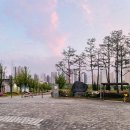 한강신도시호수공원 | 🏃 김포한강신도시 호수공원 러닝 기록｜5km 러닝 · 아디오스 프로4 후기 · NRC 사용