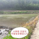 운암리농장 이미지