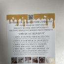 달달한레몬청 | [수제청] 상콤달콤 레몬청에이드, 레몬수, 레몬차 만들어 먹기 좋은 ‘수제청청춘’ 레몬청