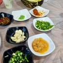 추울때 먹어야 더 맛있는 항어회 김해 구산동 향어나라