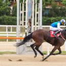 삼관목장 이미지