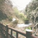 조선디저트 이미지