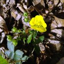 권씨농장 이미지