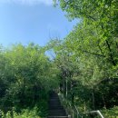 한신, 금호사이 이미지