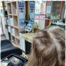 태후사랑 이미지