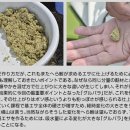 실조낚시