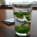 대풍목장 이미지