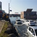 신촌물양장 이미지