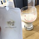 그레이스이인 이미지