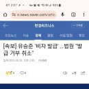 비자드림