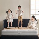 오가렌 | 슬립퍼 밸런스드 프라임 단단한 허리 매트리스 장단점 총정리 — 지금 사는 게 이득일까요?