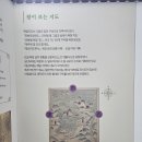 형식목장 이미지