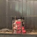 화전공원 | 울산 삼산 술집 로바타화전 분위기 있는 이자카야 제철 생선 원시구이 맛집