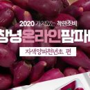 그린천년초