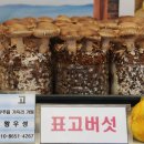 반딧불농장 이미지