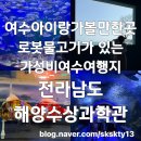 의정부1동 작은도서관 별관 | 여수아이랑가볼만한곳 로봇물고기가 있는 전라남도해양수산과학관(내돈내산)