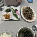 리베쿤스트 | 콩콩이와 첫 여행 /4개월 아기와 호캉스 / 네스트호텔 디럭스 트윈 벙커룸 마운틴뷰 , 수영장 이용 후기