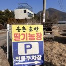 호반농장 이미지