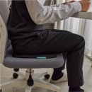평화컴퓨터세탁 | 엉덩이 통증 끝판왕 밸런스온 FIT(M) 기능성 방석으로 찾은 내 허리의 평화