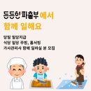 든든한 파출부 동작구점 이미지