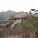 오룡초등학교 이미지