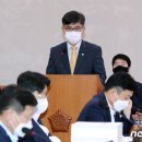 보고