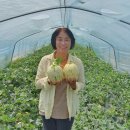 선이네농장 이미지