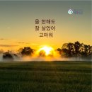 행복충만