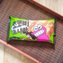 (주)초코사이버 이미지