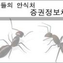 ▶풍산홀딩스 분석자료(실적,재무상태)-풍산홀딩스 주식 (005810)소액주주 정보-[새로운 정보 계속 업데이트] 이미지