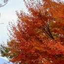 선학산전망대 이미지