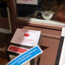 마리오 | 성수 화덕피자 맛집 『마리오네』 후기