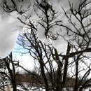 교래자연휴양림야영장 이미지